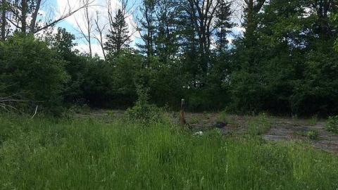 Collapsed - Duffys-Demise9.jpg