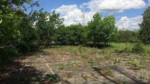 Photo from Collapsed