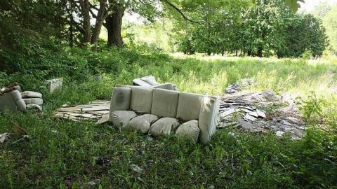 Happenstance photo 3