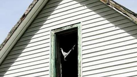 Happenstance photo 4