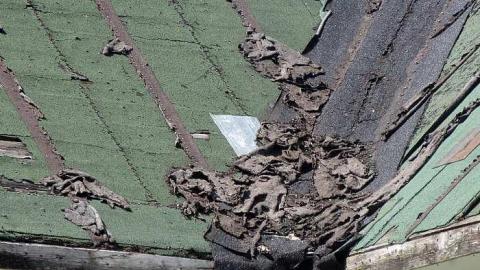 Happenstance photo 2