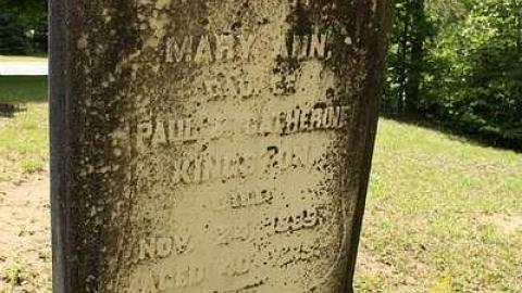 June 2016 - Kingston-Cemetery6.jpg