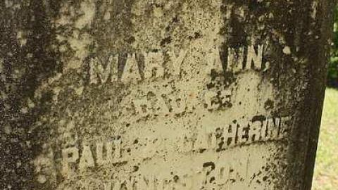 June 2016 - Kingston-Cemetery12.jpg