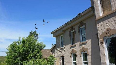 June 2016 - 18Jun-16C 229.jpg