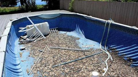 June 2016 - 18Jun-16C 231.jpg