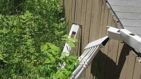 June 2016 - 18Jun-16N 096.jpg