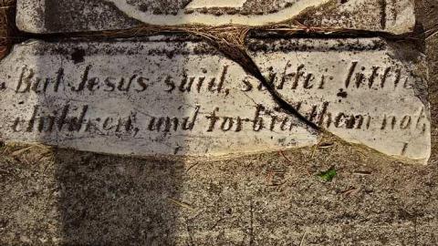 Soon The Flowers Of Life Decay - Potters-Pioneer-Cemetery16.jpg