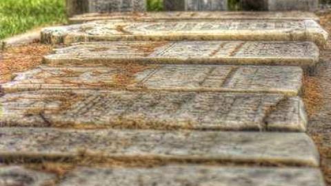 Soon The Flowers Of Life Decay - Potters-Pioneer-Cemetery3.jpg