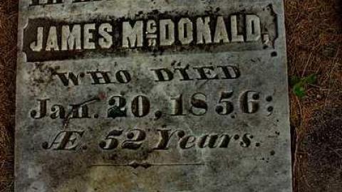 Soon The Flowers Of Life Decay - Potters-Pioneer-Cemetery19.jpg