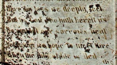 Soon The Flowers Of Life Decay - Potters-Pioneer-Cemetery7.jpg