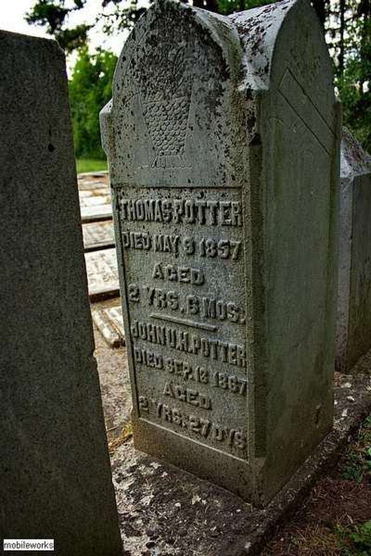 Soon The Flowers Of Life Decay - Potters-Pioneer-Cemetery10.jpg