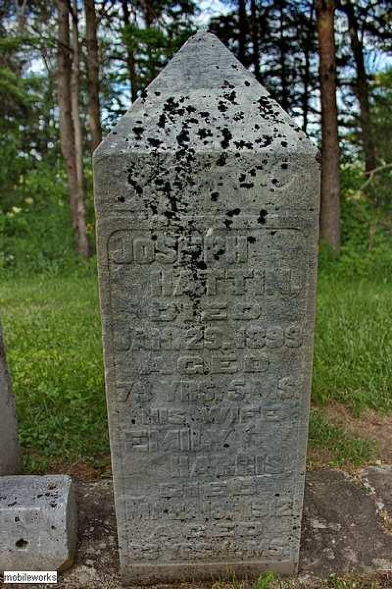 Soon The Flowers Of Life Decay - Potters-Pioneer-Cemetery36.jpg