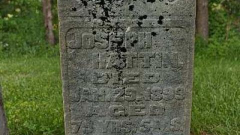 Soon The Flowers Of Life Decay - Potters-Pioneer-Cemetery36.jpg