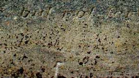 Soon The Flowers Of Life Decay - Potters-Pioneer-Cemetery39.jpg