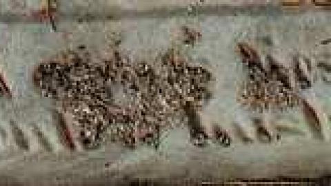 Soon The Flowers Of Life Decay - Potters-Pioneer-Cemetery23.jpg