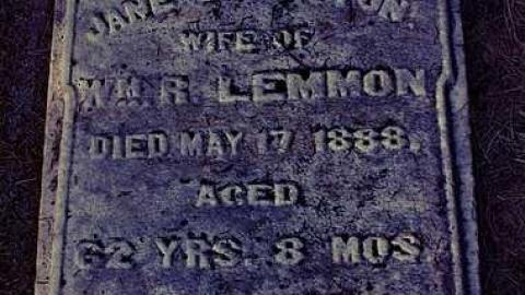 Soon The Flowers Of Life Decay - Potters-Pioneer-Cemetery24.jpg