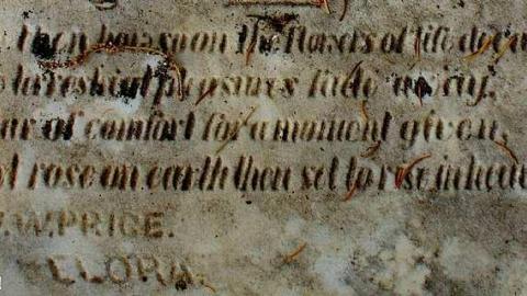 Soon The Flowers Of Life Decay - Potters-Pioneer-Cemetery30.jpg