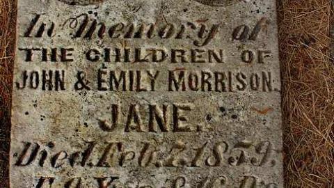 Soon The Flowers Of Life Decay - Potters-Pioneer-Cemetery31.jpg