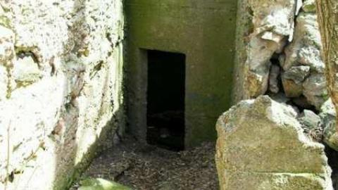 Freaky Forested Farm - SAM_1897.jpg