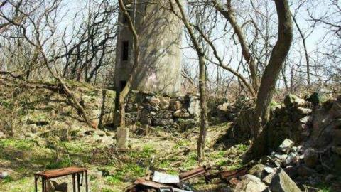 Freaky Forested Farm - SAM_1894.jpg