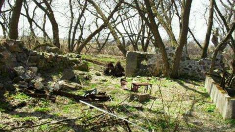 Freaky Forested Farm - SAM_1898.jpg