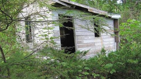 Sunburne Resort photo 3