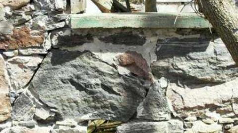 Freaky Forested Farm - SAM_1911.jpg