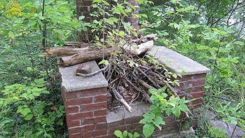 Sunburne 01 - Sunburne06.jpg