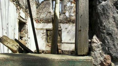 Freaky Forested Farm - SAM_1912.jpg