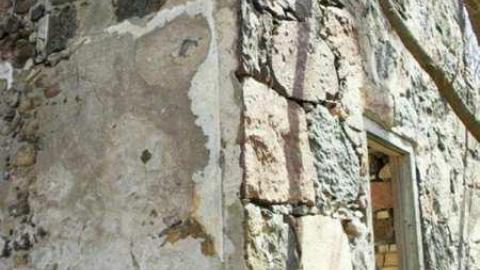 Freaky Forested Farm - SAM_1914.jpg