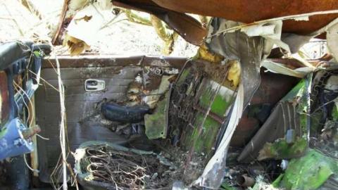 Freaky Forested Farm - SAM_1922.jpg