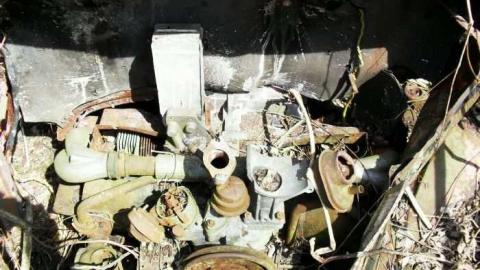 Freaky Forested Farm - SAM_1925.jpg