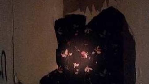 Matt Flynn House - 13524167_10207976848393572_891566475_o.jpg