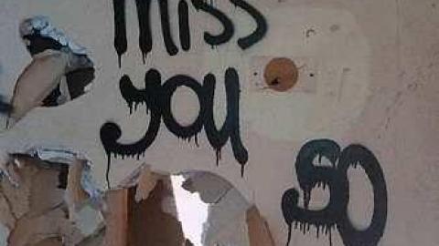 Photo from Matt Flynn House