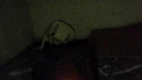 Photo from Matt Flynn House