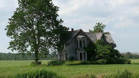 Guyitt in June - P1010710.jpg