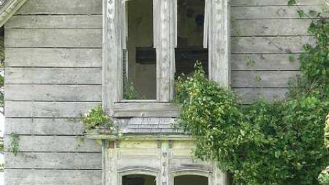 Guyitt in June - P1010708.jpg