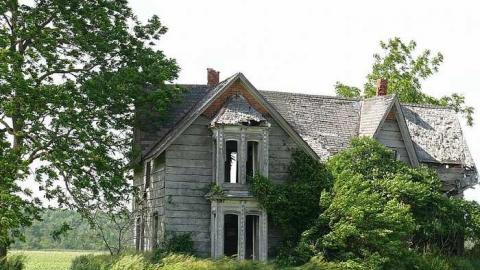 Guyitt in June - P1010709.jpg