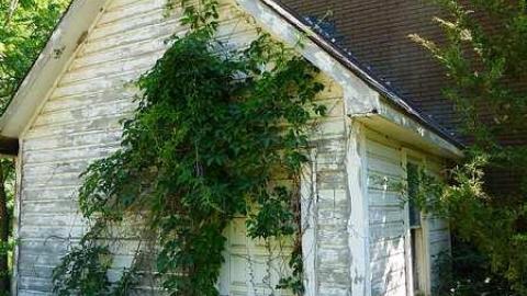 Photo from Right  Turin