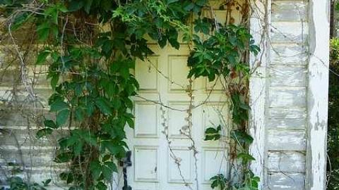 Photo from Right  Turin