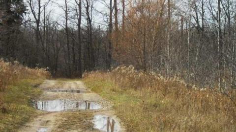 Bresleau Ghost Roads photo 3