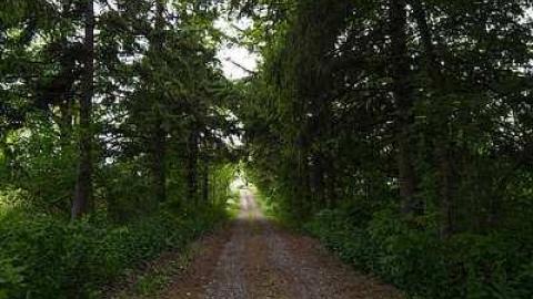 7/6/2016 - IMG_4910.jpg