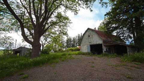 7/6/2016 - IMG_4896.jpg