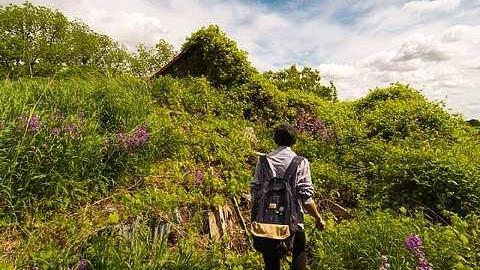 7/6/2016 - IMG_4887.jpg