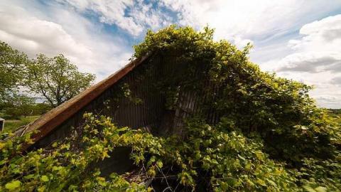 7/6/2016 - IMG_4882.jpg