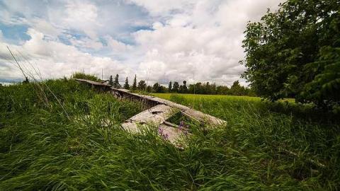 7/6/2016 - IMG_4877.jpg