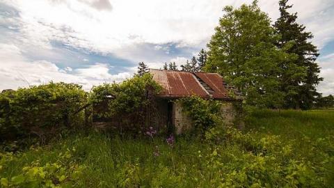 7/6/2016 - IMG_4870.jpg