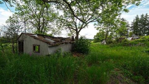 7/6/2016 - IMG_4865.jpg