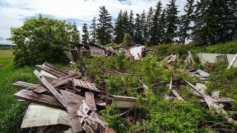 7/6/2016 - IMG_4856.jpg