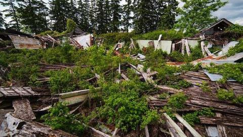 7/6/2016 - IMG_4855.jpg